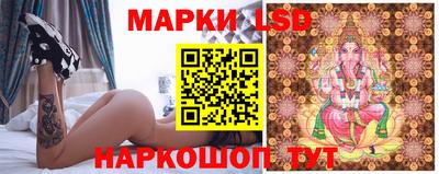 apvp Нальчик