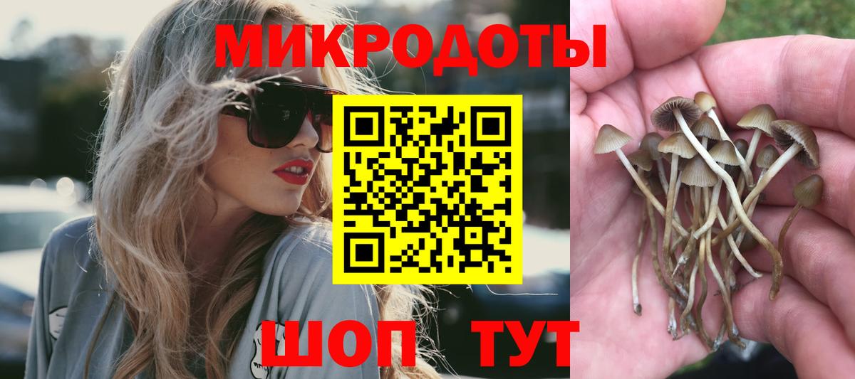 Самара  Псилоцибиновые грибы Magic Shrooms  Псилоцибиновые грибы GOLDEN TEACHER  Вход с VPN 